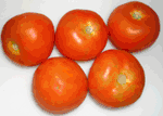 TOMATES